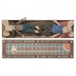 Grandma & Grandpa mice in matchbox