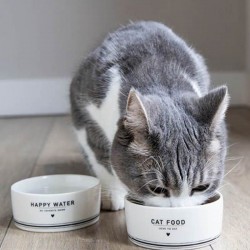Porcelán etetőtál cica - Happy water