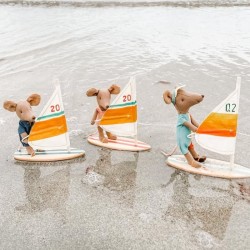 Strand egérfiú Diego, szörfös – Little Brother