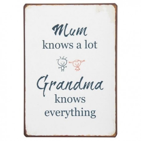 Metal sign - Mom knows a lot