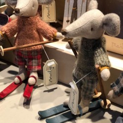 Téli egérfiú sí-szettel - Big Brother