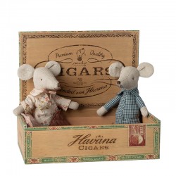 Egér nagymama és nagypapa egér szivardobozban