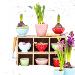 Porcelán latte bögre Dotty red